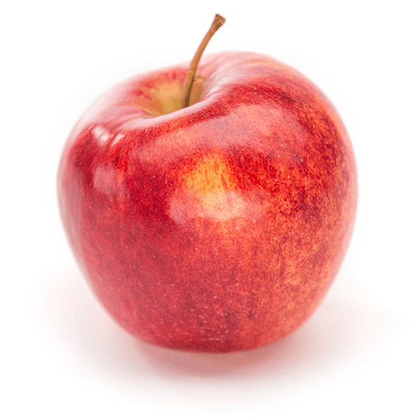 Jonagold Apples