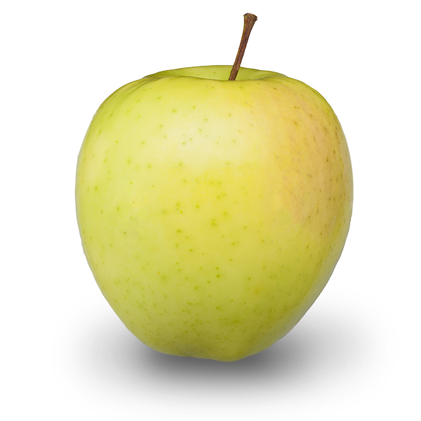 Gingergold Apples